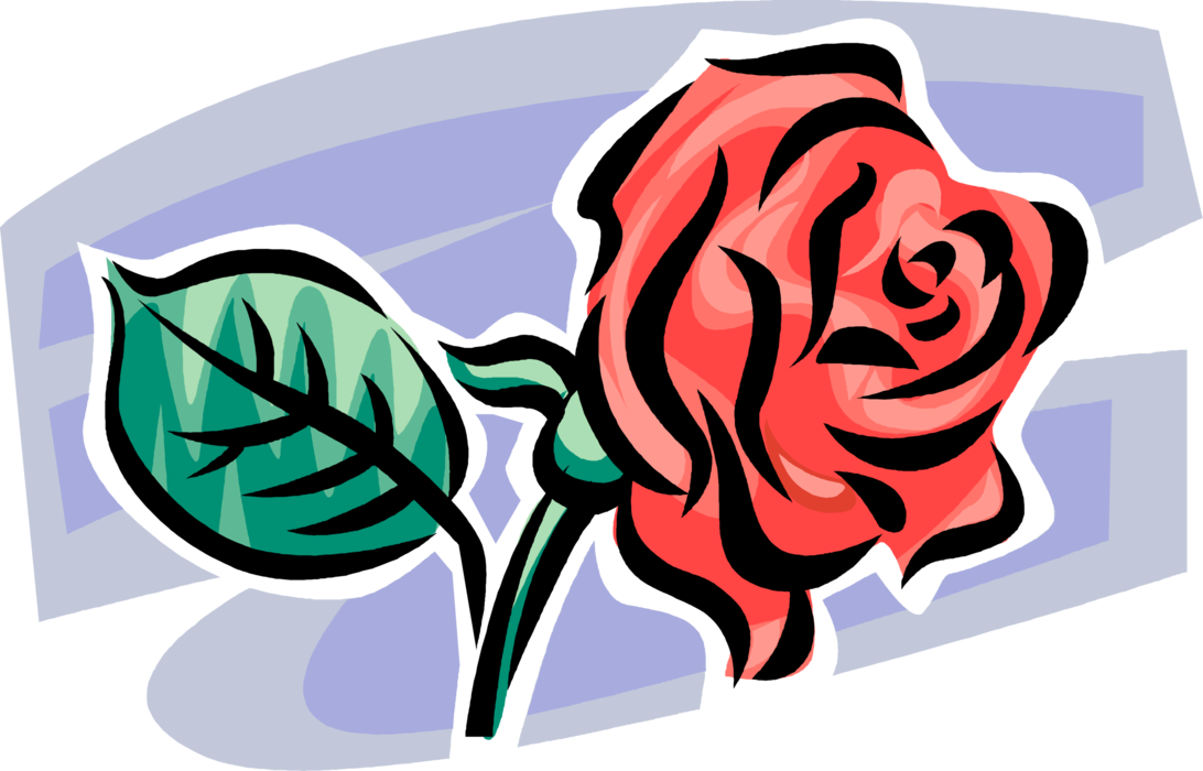 Vector Illustration of Rose Garden Flower Perennial Plant Blossom