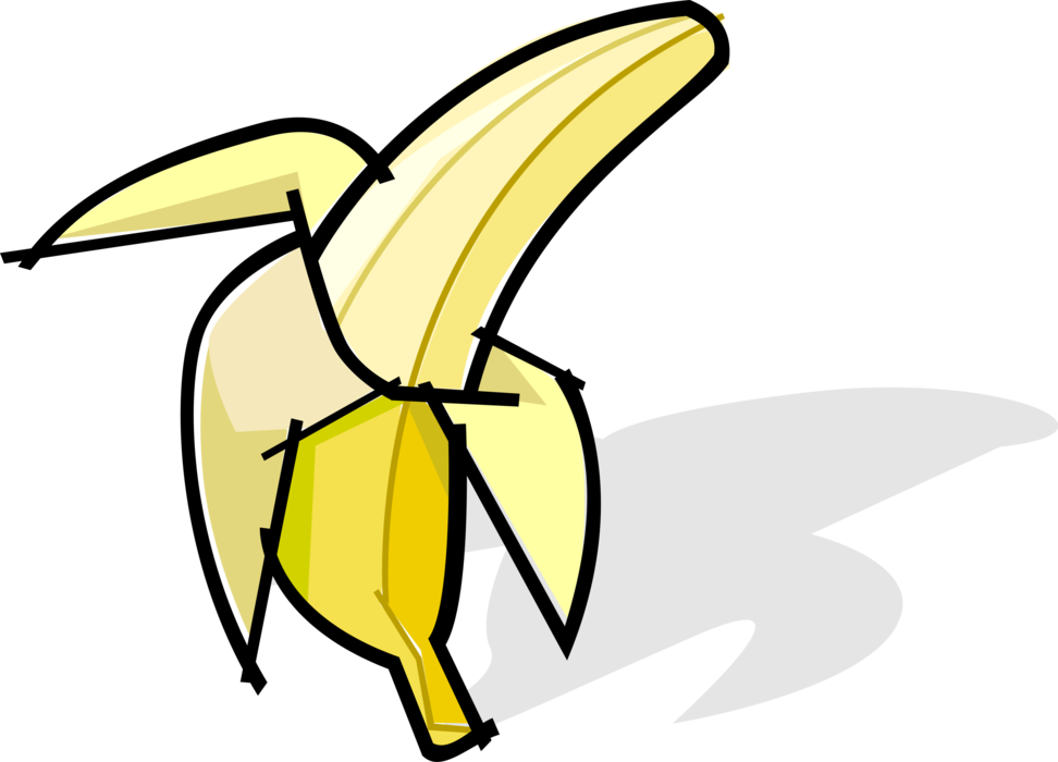 Vector Illustration of Peeled Banana Edible Fruit 