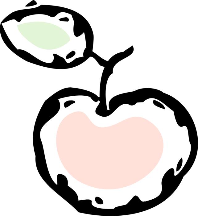 Vector Illustration of Pomaceous Food Fruit Apple