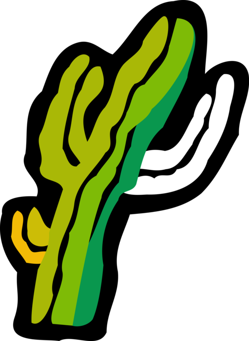 Vector Illustration of Desert Vegetation Succulent Cactus Vector Illustration of Desert Vegetation Succulent Cactus