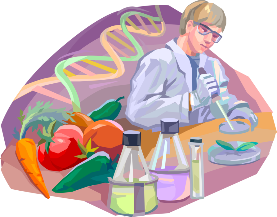 Vector Illustration of GMO Genetic Engineering Modified Foods Produced from Organisms Introduced into Their DNA