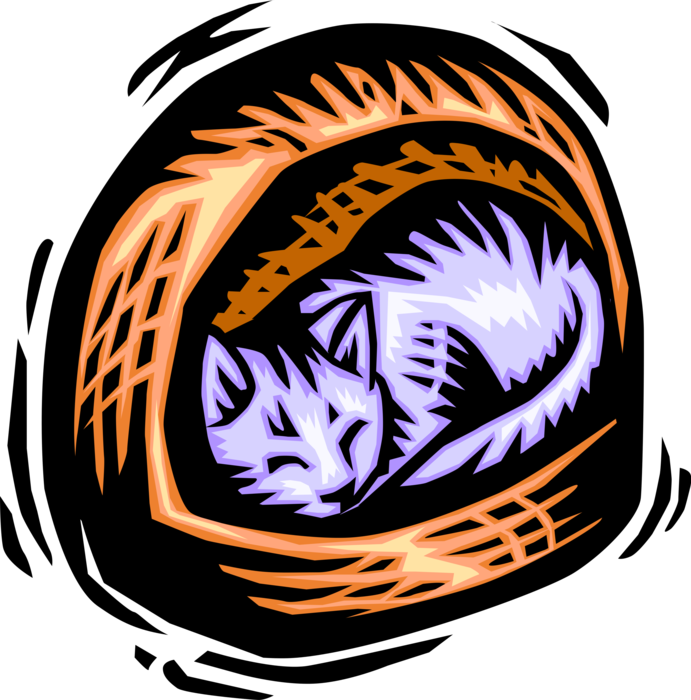 Vector Illustration of Domestic Housecat Kitten Family Pet Sleeps in Basket