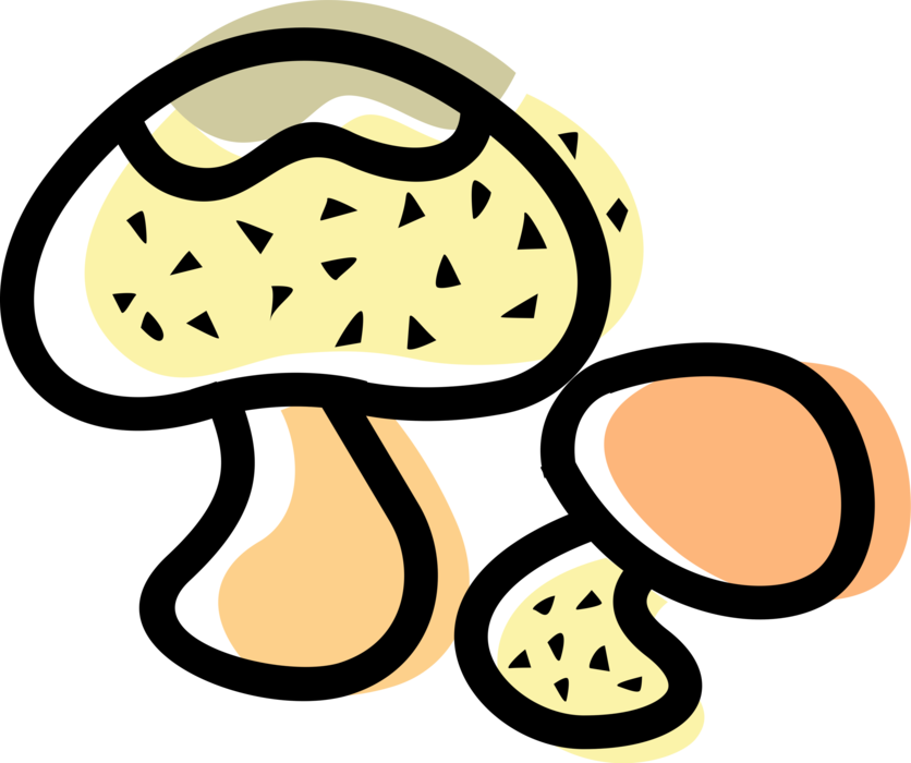Vector Illustration of Wild Mushroom or Toadstool Fleshy Spore-Bearing Fungus Food