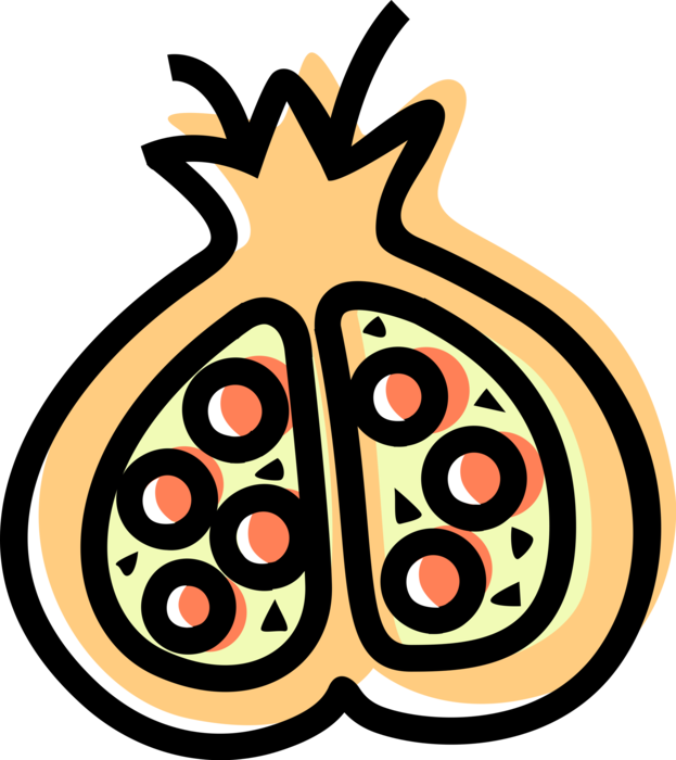 Vector Illustration of Pomegranate Edible Fruit Berry Filled with Seeds Great Source of Antioxidants
