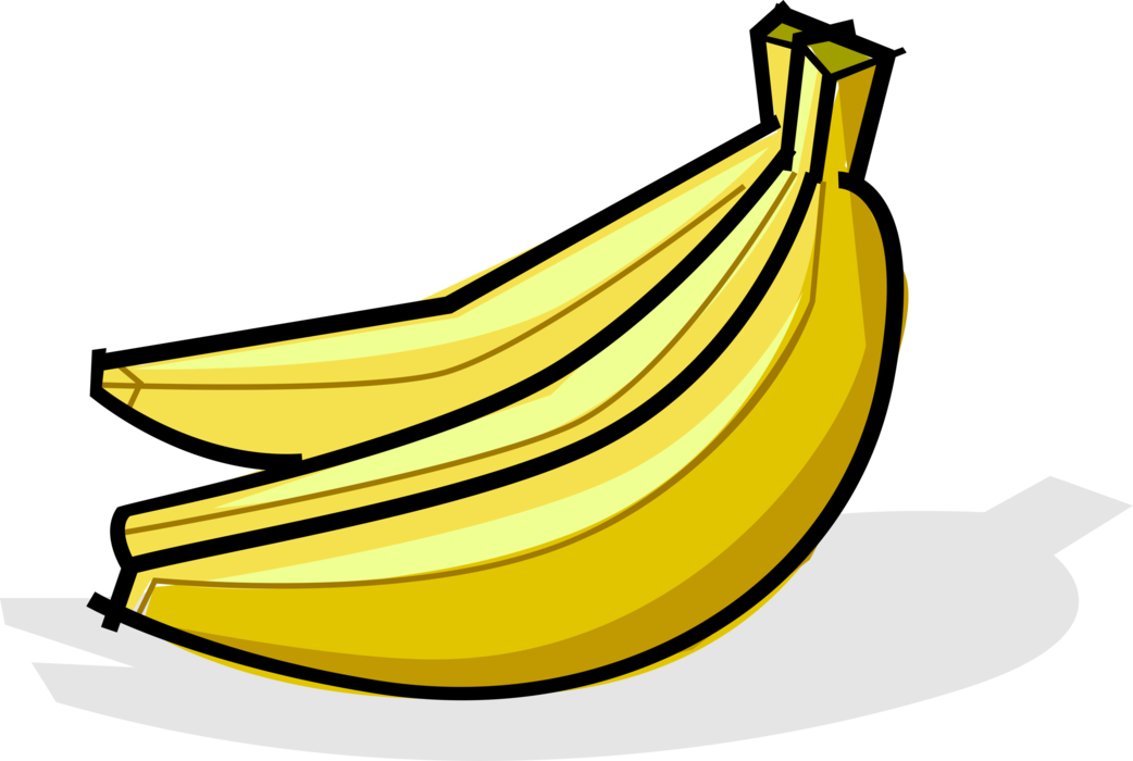 Vector Illustration of Soft, Sweet, Dessert Banana Edible Fruit 