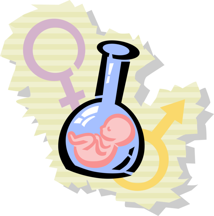 Vector Illustration of Human Reproduction In Vitro Fertilisation with Fetus in Laboratory Glassware Beaker