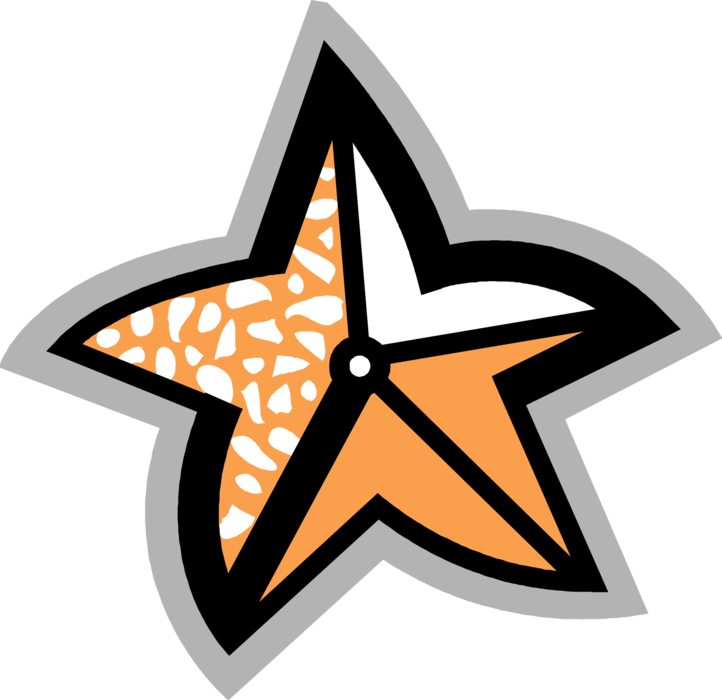 Vector Illustration of Marine Invertebrate Starfish