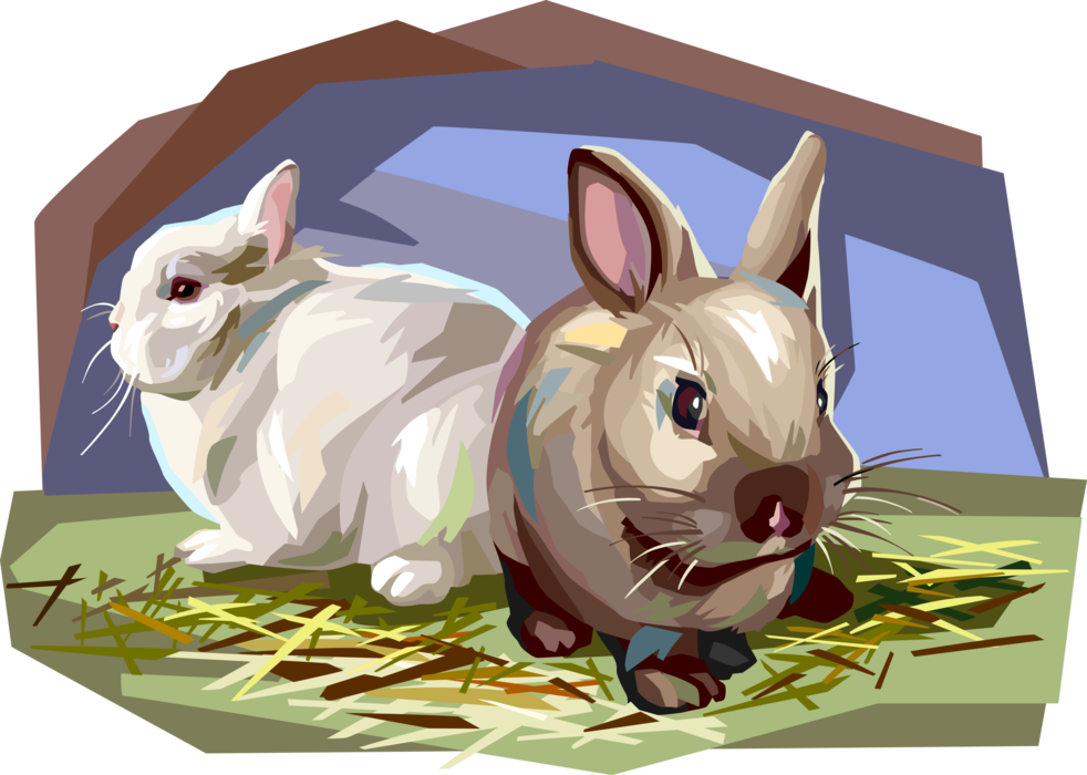 Vector Illustration of Small Mammal Rabbit Hare Bunny
