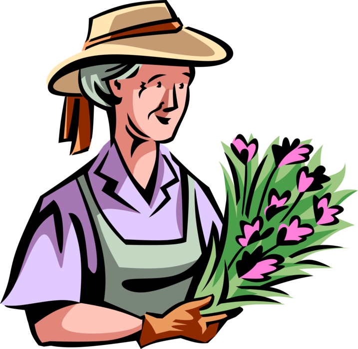Vector Illustration of Retired Elderly Senior Citizen Gardener Cuts Flowers from Garden for Bouquet