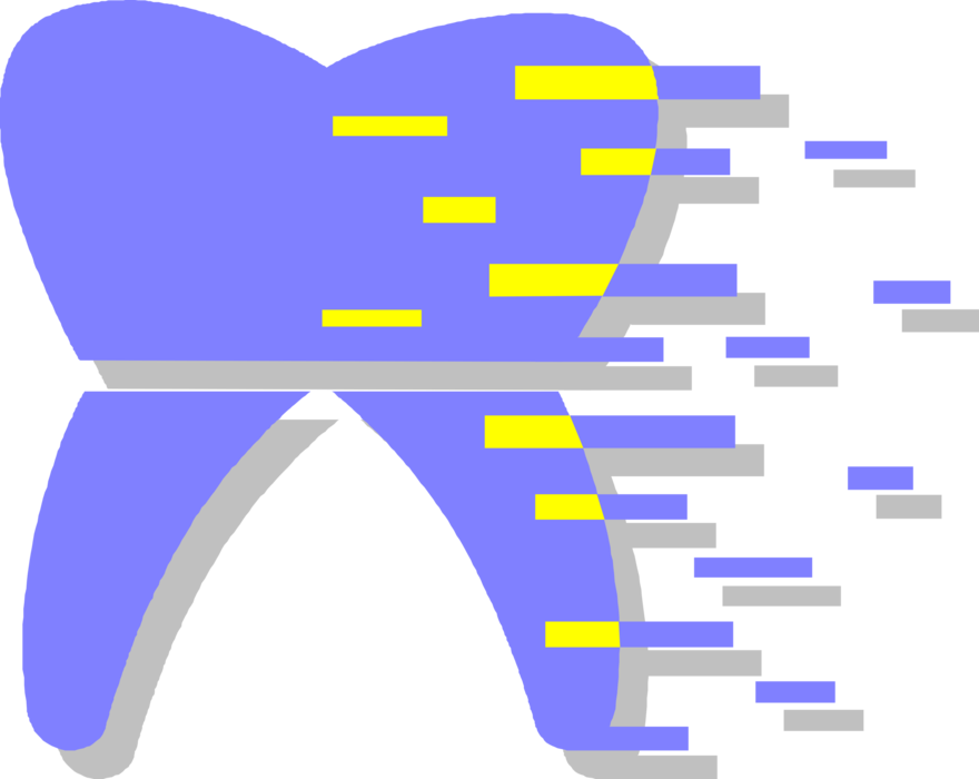 Vector Illustration of Human Dental Molar Tooth with Roots