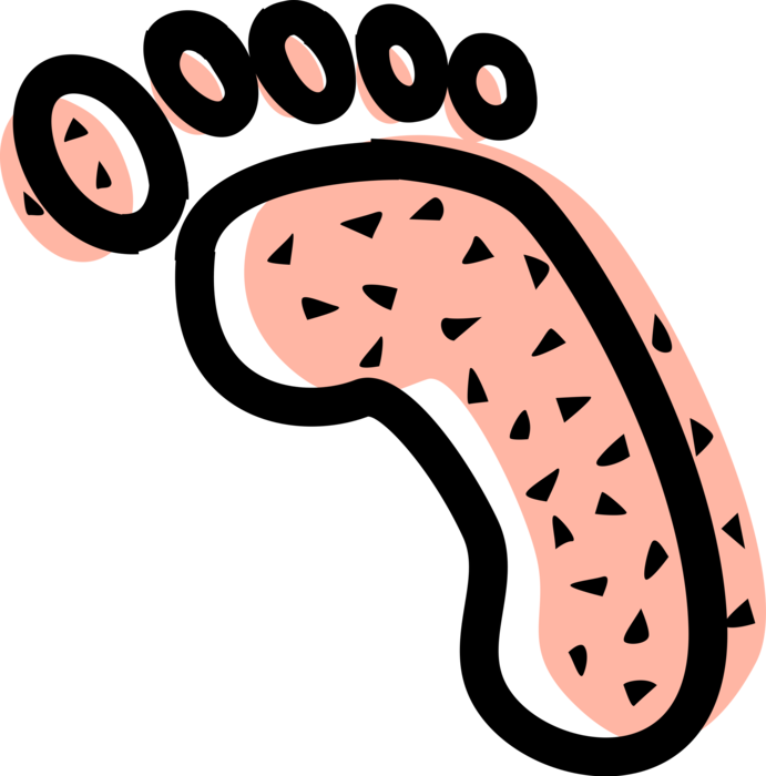 Vector Illustration of Human Foot Footprint with Toes