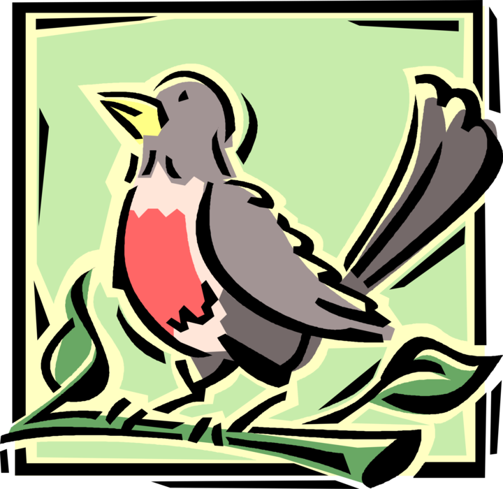 Vector Illustration of Robin Bird Stands on Tree Branch