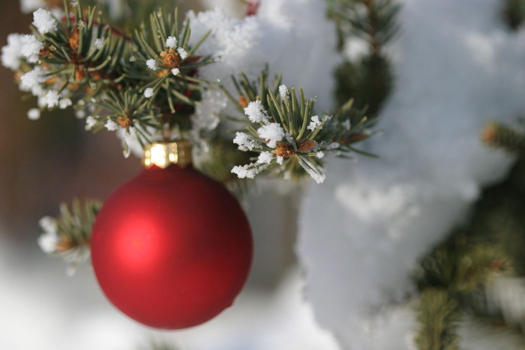 Christmas Ornaments: Red Ball Decoration with Tree