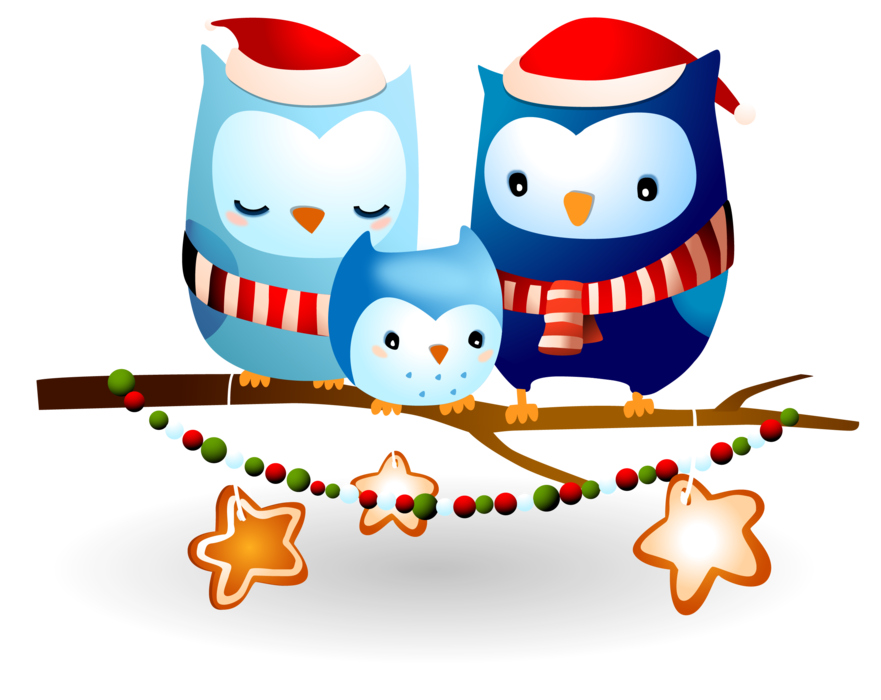 Cute Family of Owls celebrating Christmas