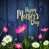 7s8s0t2ad4 wannapik vector mothers day spring garden design 01