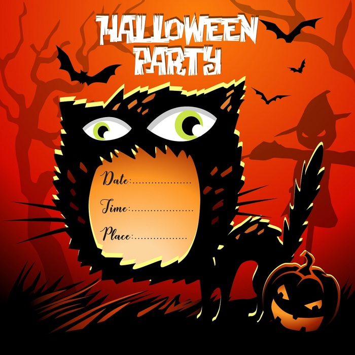 Black Cat Halloween Party Invitation with jackolantern 