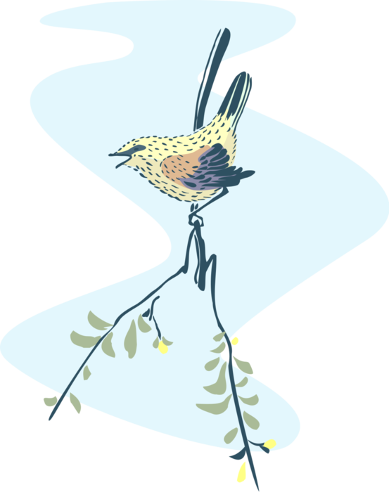 Vector Illustration of Feathered Bird on Branch