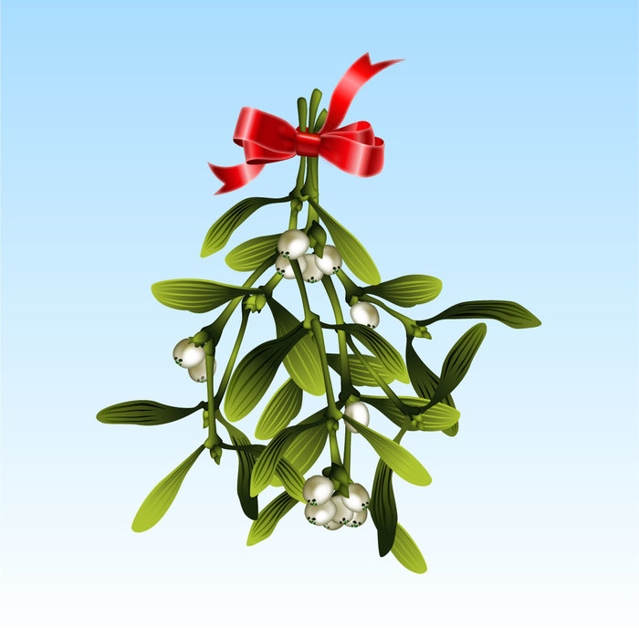 Christmas Mistletoe with a Bow and Ribbon