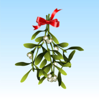 2q42q6xmck mistletoe with bow 01